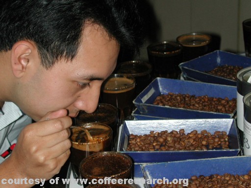 cupping 6.jpg