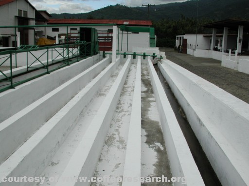 Density sorting tanks 2.jpg