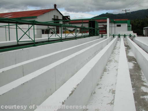 Density sorting tanks 3.jpg