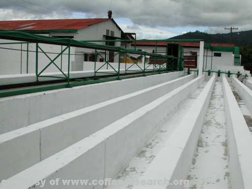 Density sorting tanks 4.jpg