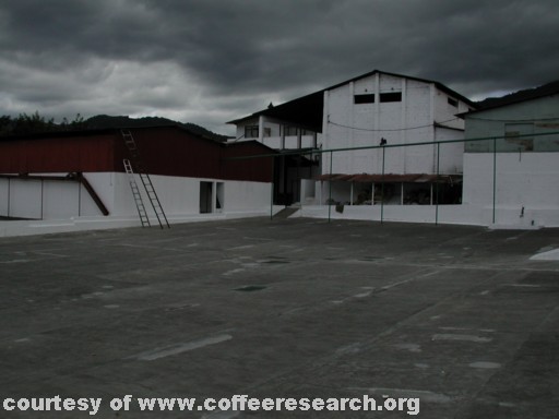 Drying patios 8.jpg