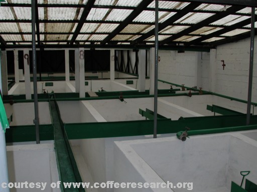 Fermentation tanks 1.jpg