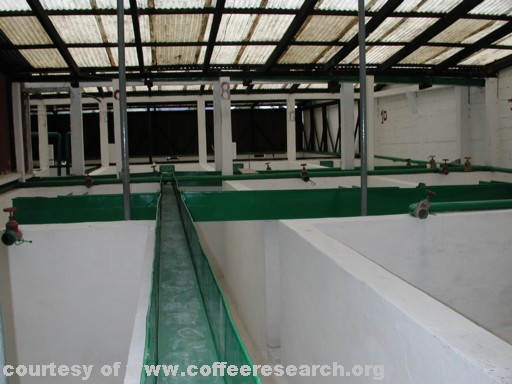 Fermentation tanks 2.jpg