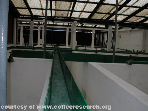 Fermentation tanks 3.jpg
