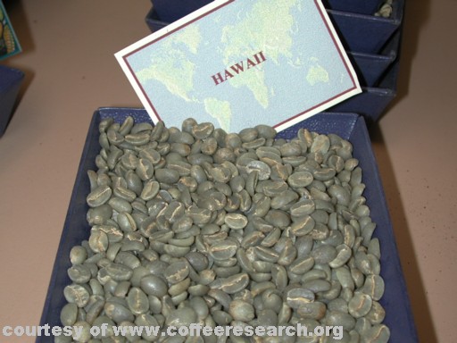 Hawaii beans 1.jpg