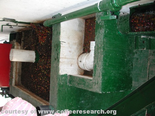cherry density separation.jpg