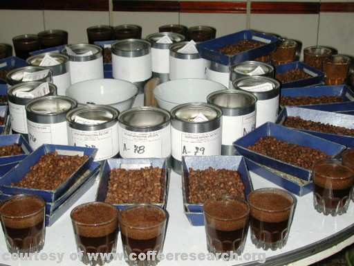 cupping 4.jpg