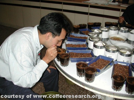 cupping 5.jpg