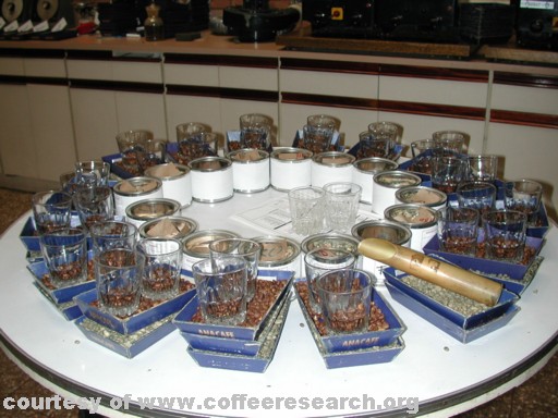 cupping table b.jpg