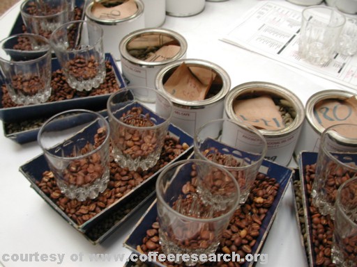 cupping table c.jpg