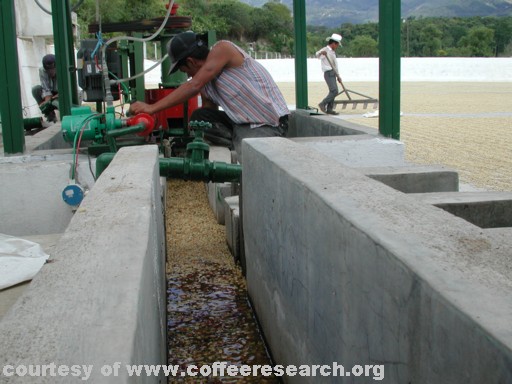 demucilating machine 2.jpg