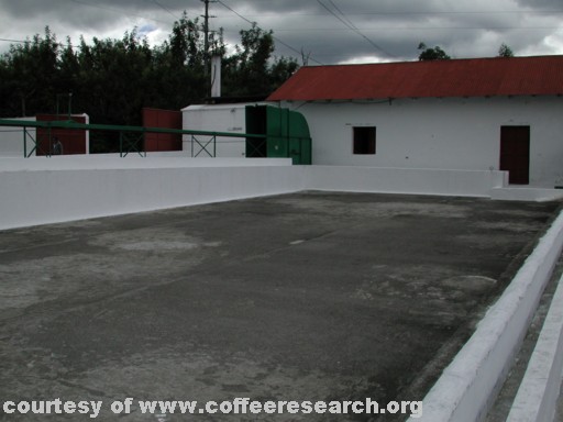 drying patios 10.jpg
