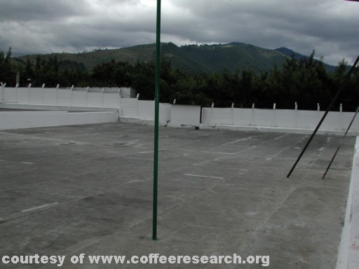 drying patios 11.jpg
