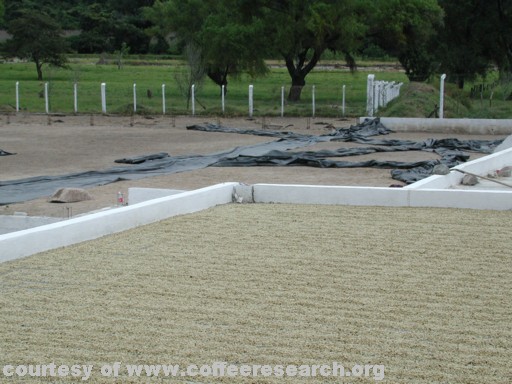 drying patios 3.jpg