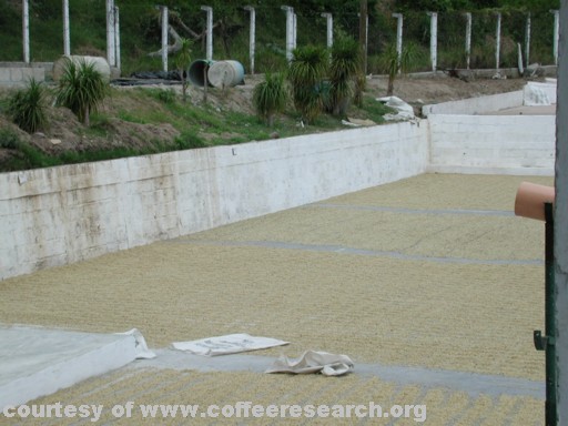 drying patios 4.jpg