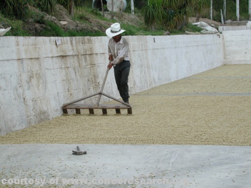 drying patios 5.jpg