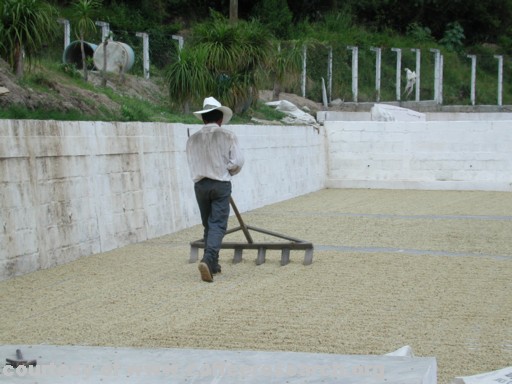 drying patios 6.jpg