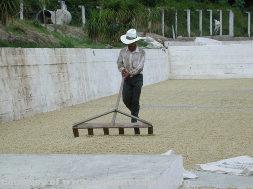 drying patios 7.jpg