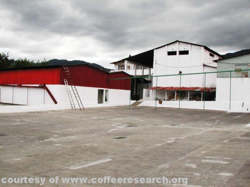 drying patios 9.jpg