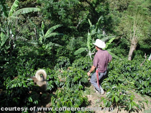 farm and farmer 2.jpg