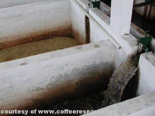 fermentation tanks 5.jpg