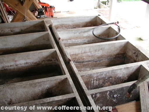 fermentation tanks 7.jpg