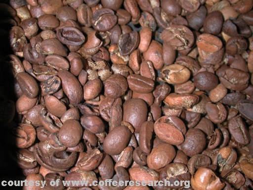 low quality roasted coffee 2.jpg