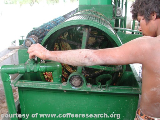 pulp separator 4.jpg