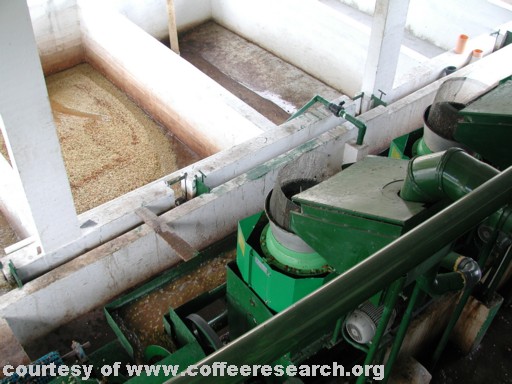 pulpers and fermentation tanks.jpg