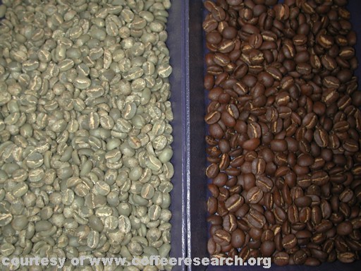 roasted and green coffee 2.jpg