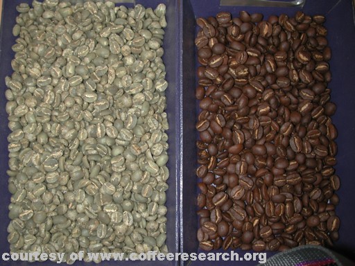 roasted and green coffee.jpg