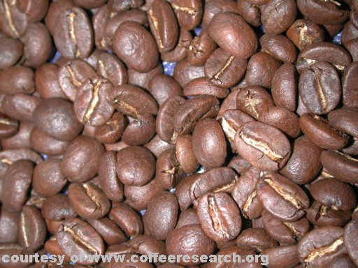 roasted coffee.jpg