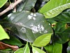 DSCN0533.JPG