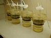 coffee lab 3.jpg