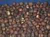 dried cherries 2.jpg