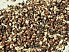 dried unpulped lowest grade.jpg