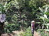 farm and farmer 1.jpg