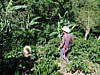 farm and farmer 2.jpg