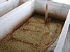 fermentation tanks 6.jpg