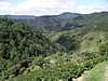 full sun planting 4.jpg