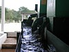 pulped coffee transport.jpg